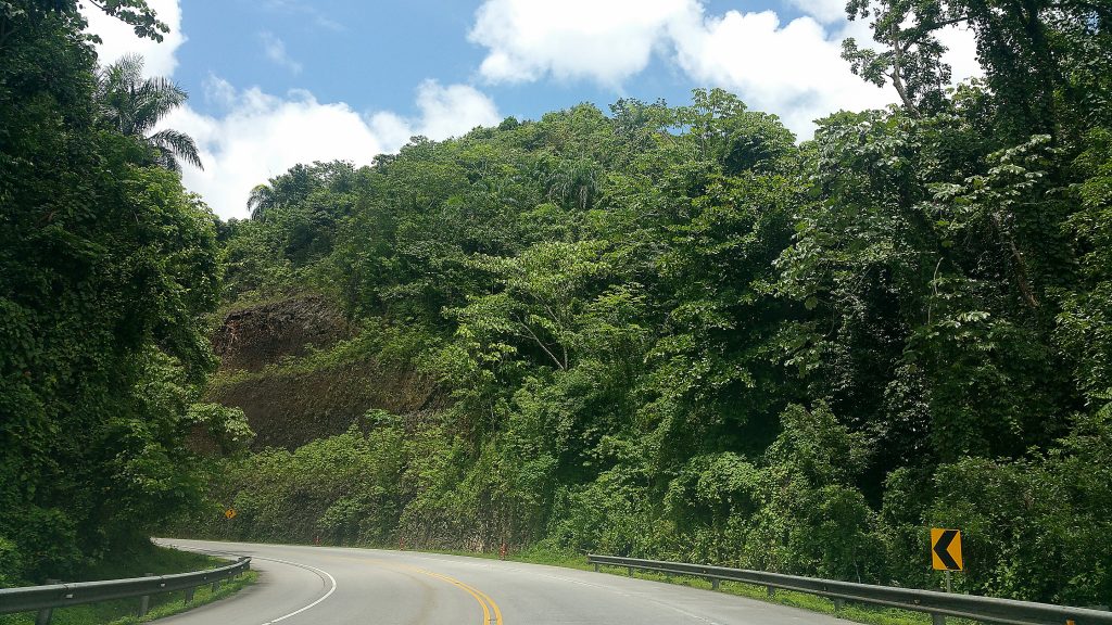 Verdant winding road in northeastern Dominican Republic