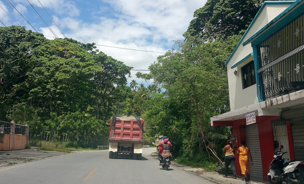 Tree-lined road in Samana behind couple carrying fuel tank on motorbike